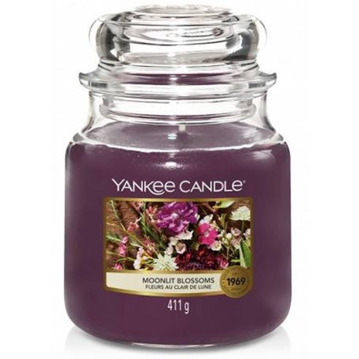 SONNTAGS-BRUNCH MIT MONDLICHT BLOS