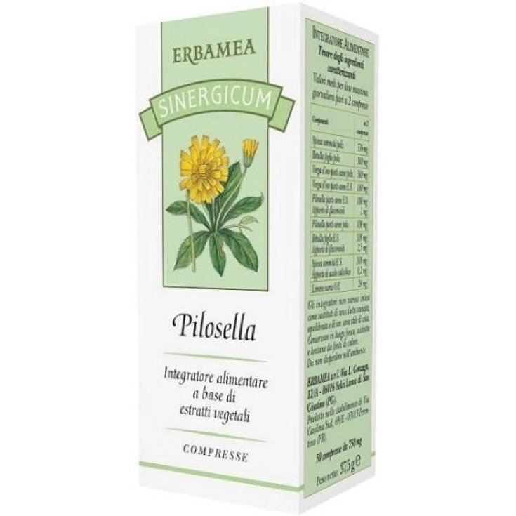 SYNERGICUM PILOSELLA 50 Tabletten