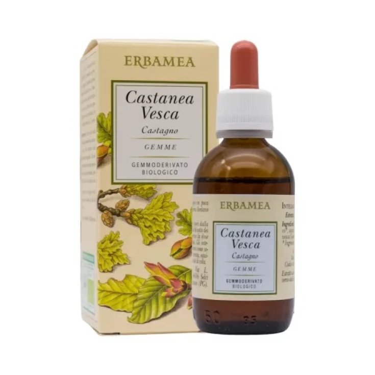 CASTANEA VESCA GEMS GD BIOLOGISCH