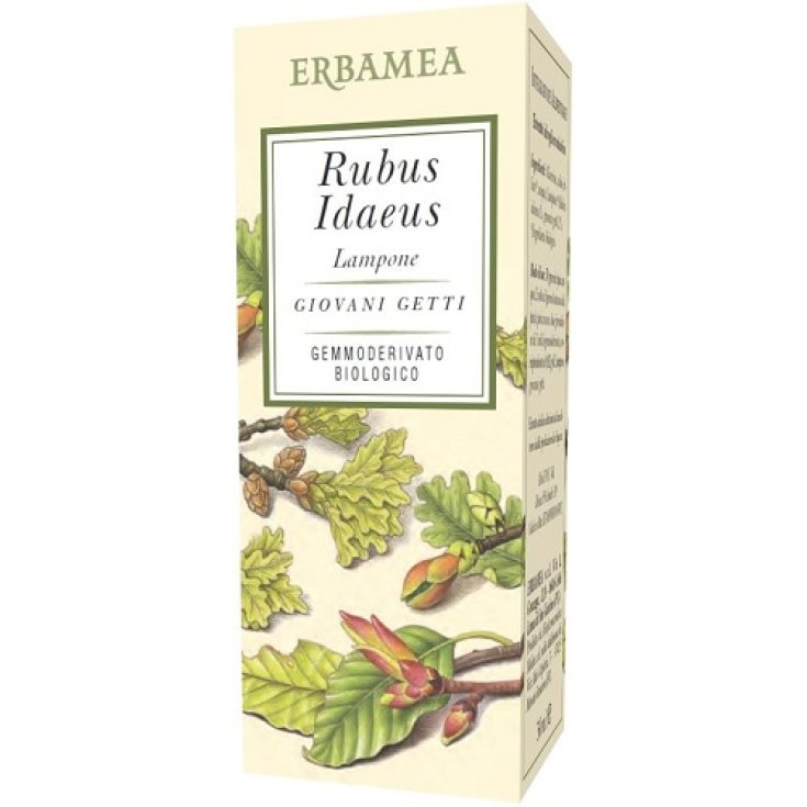 RUBUS IDAEUS BIO-HIMBEERE 50ML