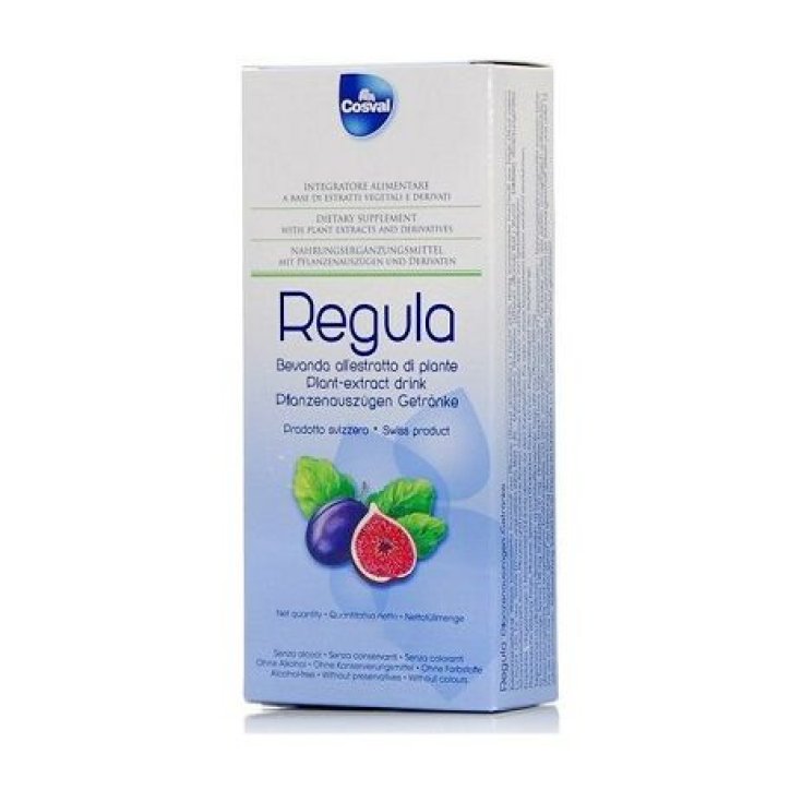 REGULA-GETRÄNK 250ML