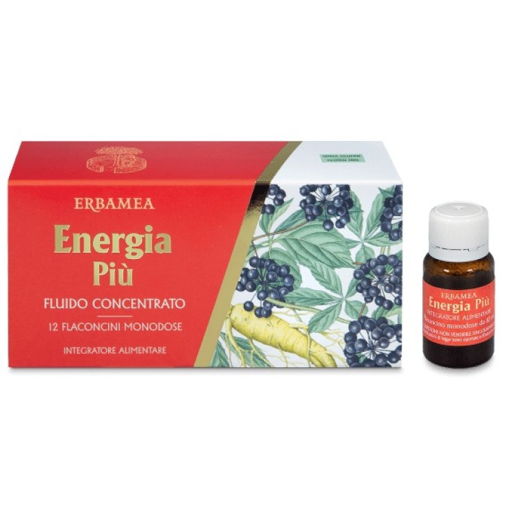 ENERGIE PLUS 12FL 10ML