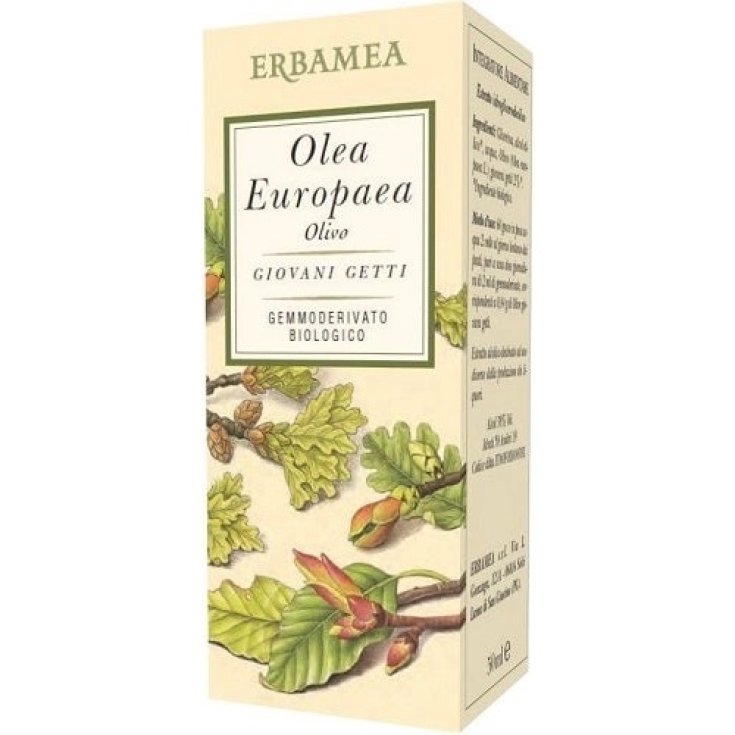 OLEA EUROPEA OLIVE BIO 50ML