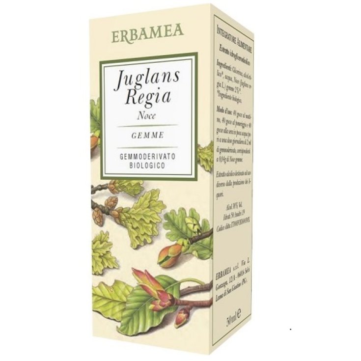 JUGLANS REGIA WALNUSS BIO 50ML