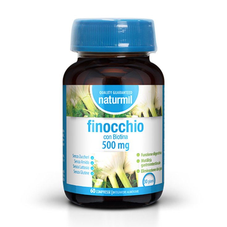 NATURMIL FENCHEL 500MG 60CPR