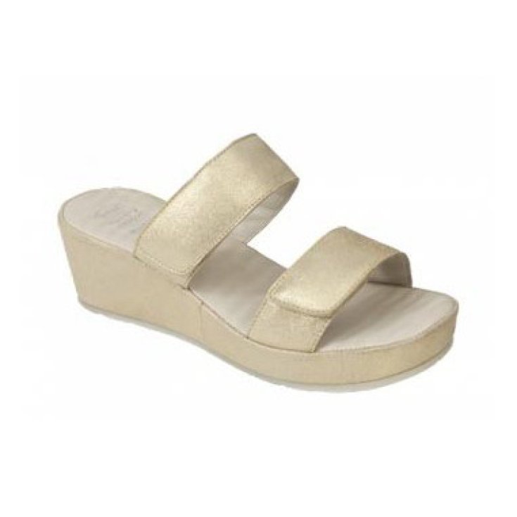 CORA WILDLEDER MIT PLAT 40