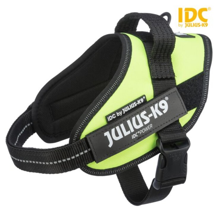 JULIUSK9 IDC PETT B XS 2936 GF