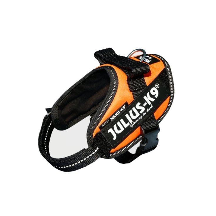 JULIUS K9 POWERHARNESS ORANGE KABELBAUM