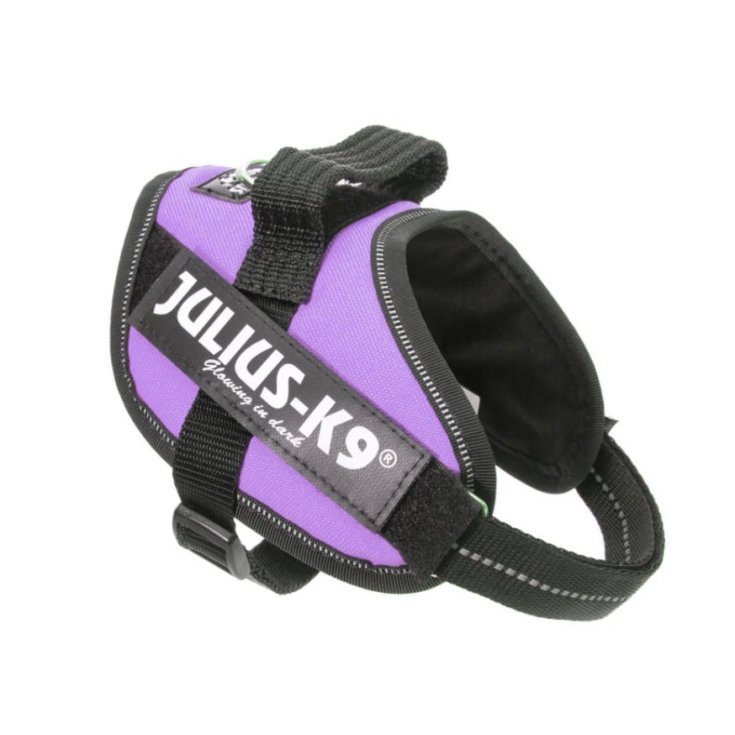JULIUS K9 POWERHARNESS LILA HARNESS M