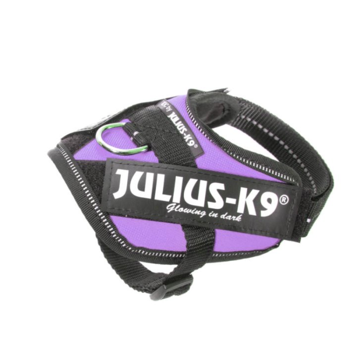 JULIUS-K9 POWERHARNESS LILA KABELBAUM B