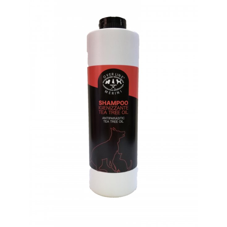 ÜBERLINIEN-SHAMPOO HYGIEN 1L