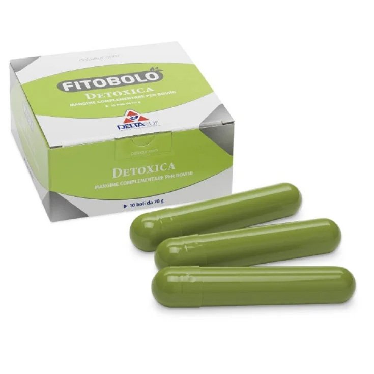 DETOXISCHES PHYTOBOL 10X70G