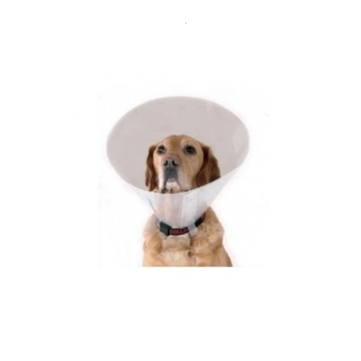 PROFICOL-KRAGENTRANSP 10 XS