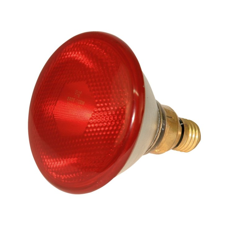 LICHT 250 W LAMPE