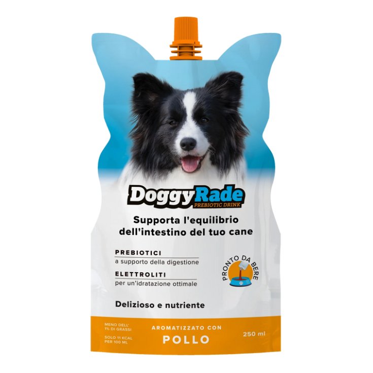 DOGGYRADE 250 ML