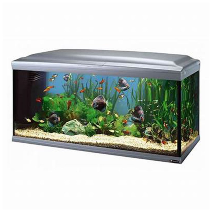 CAYMAN 110 SCENIC SILVER mit T5