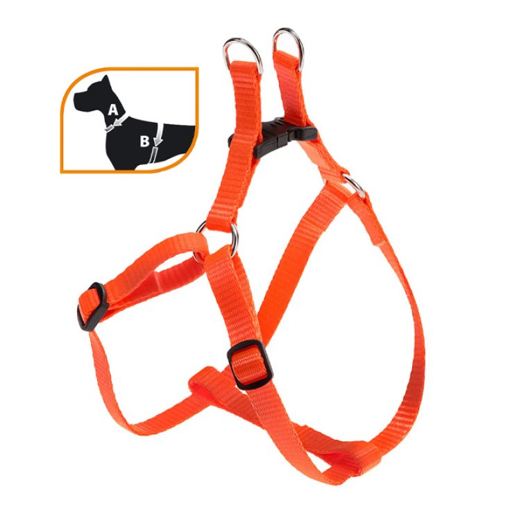 EASY P EX.KLEINER ORANGE KAMM.