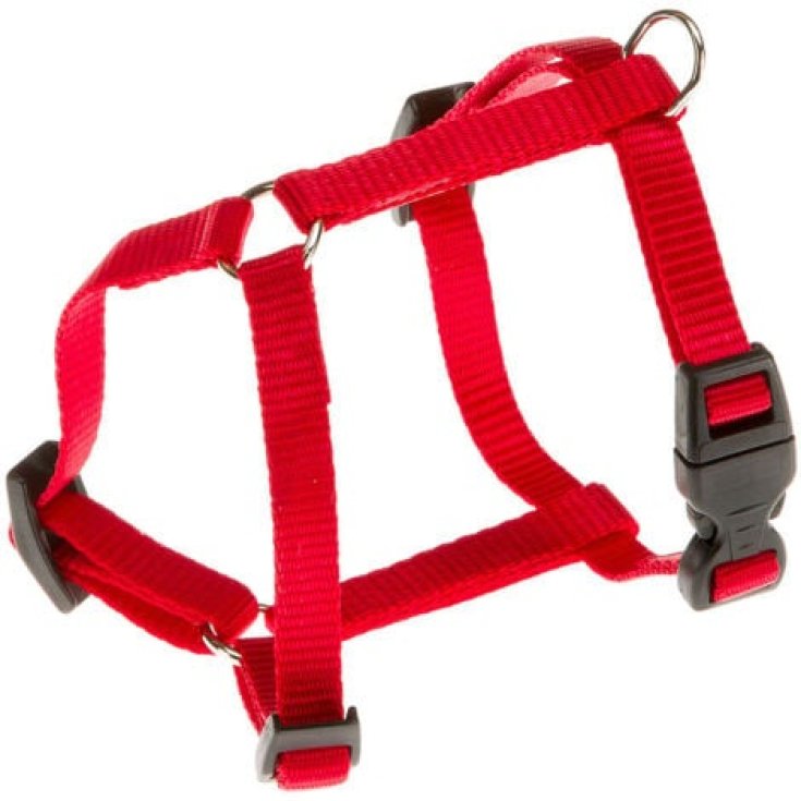 CHAMPION P EXTRAKLEINES ROTES HAUSTIER.