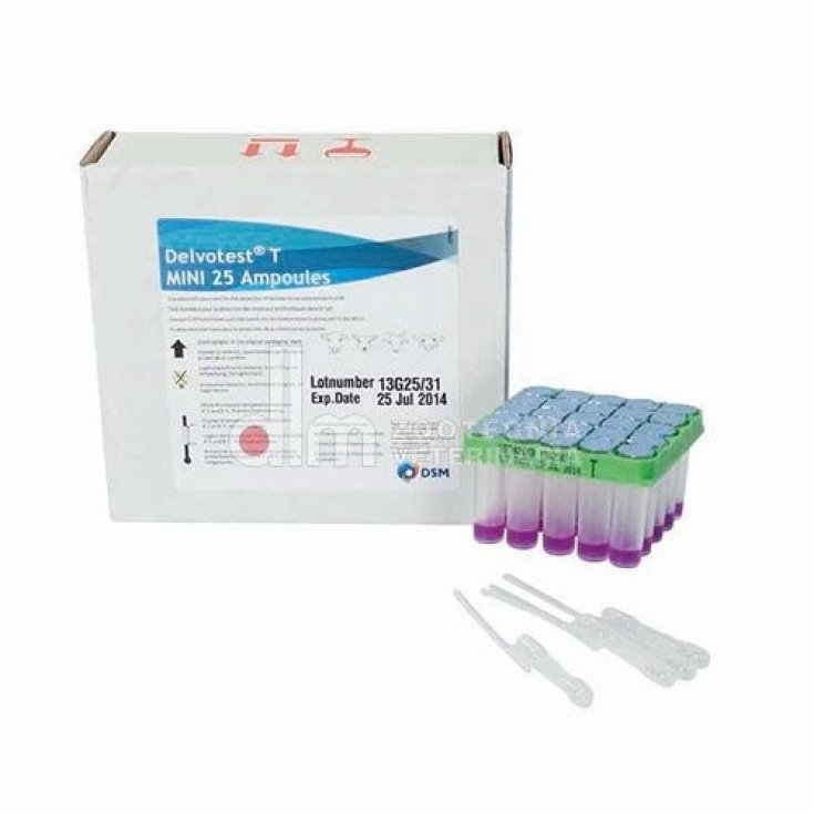 DELVOTEST T MINI DSM 25 STK