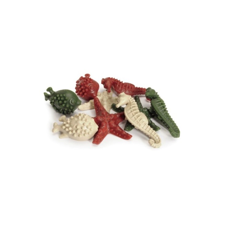 SEAVEG S STERN 7,5CM