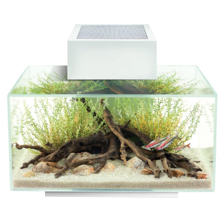 EDGE AQUARIUM 23 LT WEISSE LED NEU