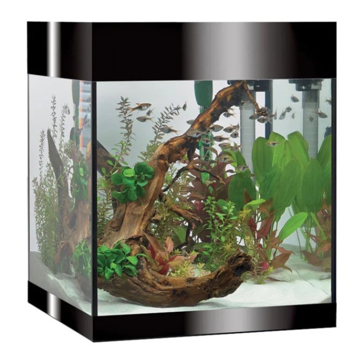 AQUARIUM PURE KIT M LED SCHWARZ