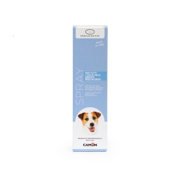 SELBSTRÜSSENDES SHAMPOO 200ML