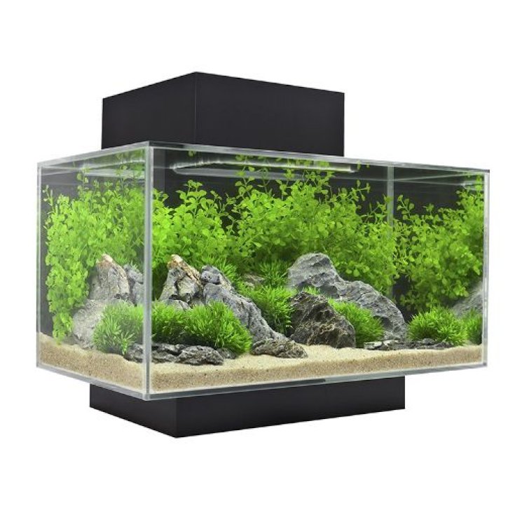 EDGE AQUARIUM 23 LT LED SCHWARZ NEU