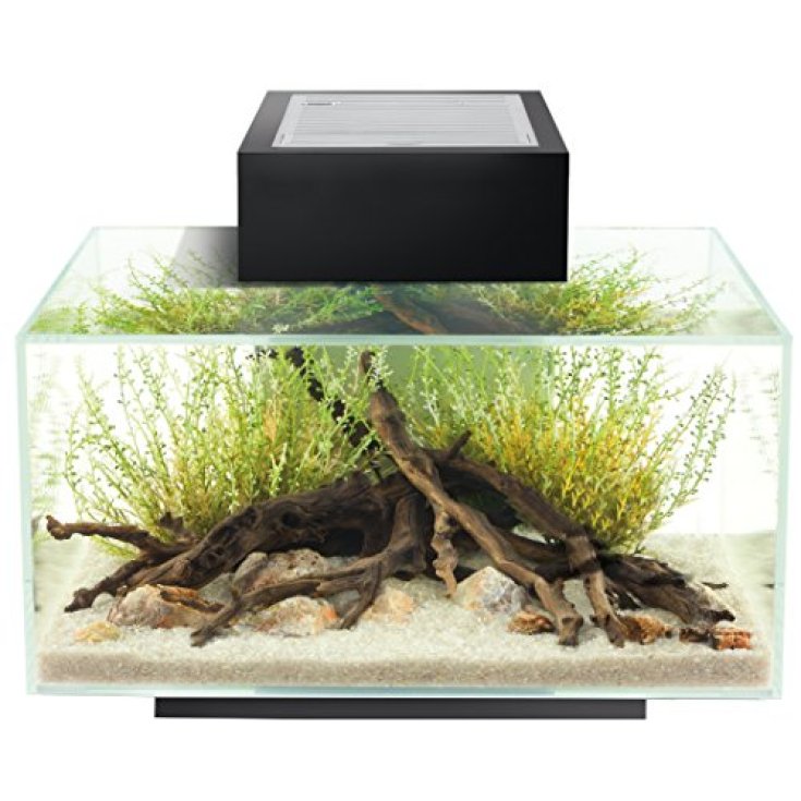 EDGE SCHWARZES AQUARIUM