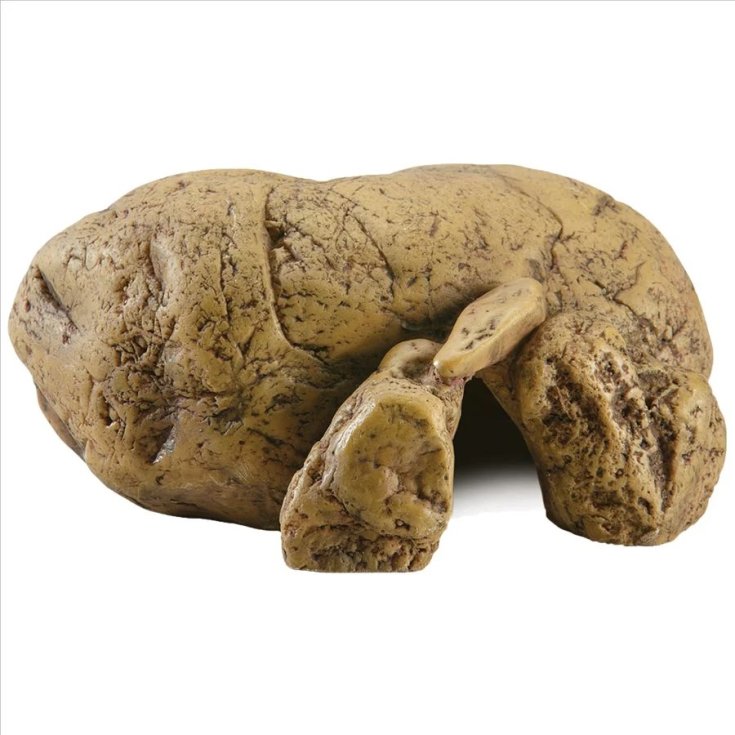 REPTILIENHÖHLE KLEIN PT-2930