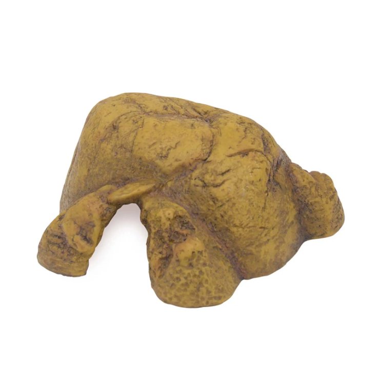 REPTILIENHÖHLE MITTEL PT-2931