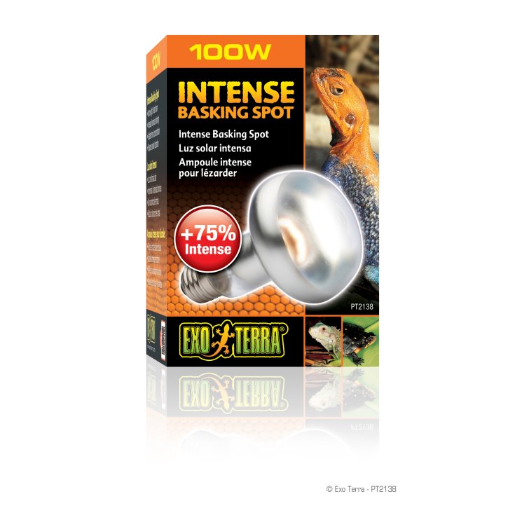 LAMPE S25/100W SUN-GLO PT2138