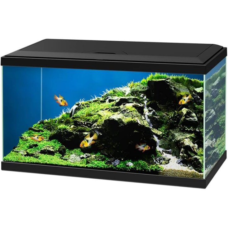 WASSER 60 SCHWARZE LED