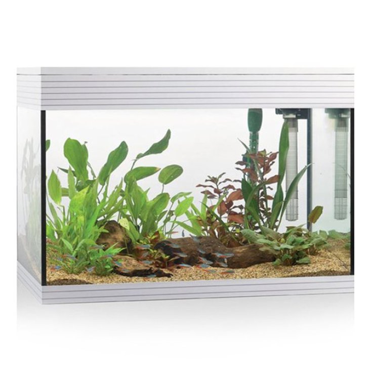 AQUARIUM PURE KIT L LED WEISS