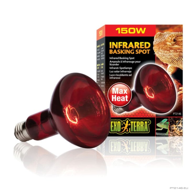 LAMPE R30/150W INFRAROT PT2146