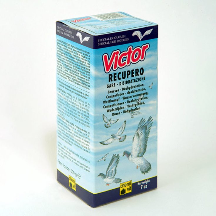 VICTOR-RÜCKGEWINNUNGSFLÜSSIGKEIT 1 KG