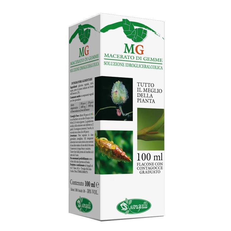 HASELNUSS 100ML MG