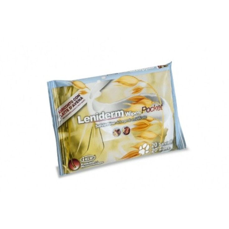 LENIDERM WIPES POCKET 20ST DIS