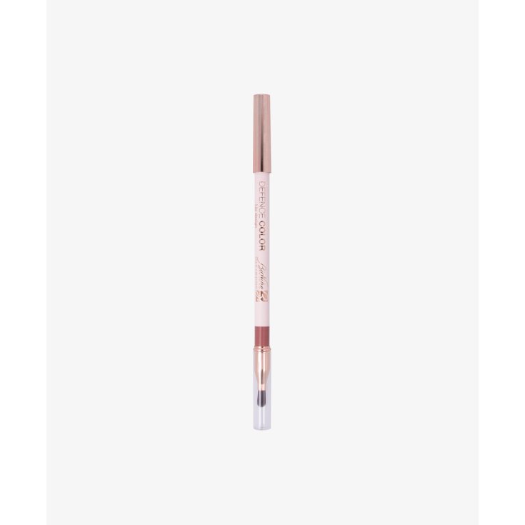 DEFENCE COLOR LIP DES MAT 202