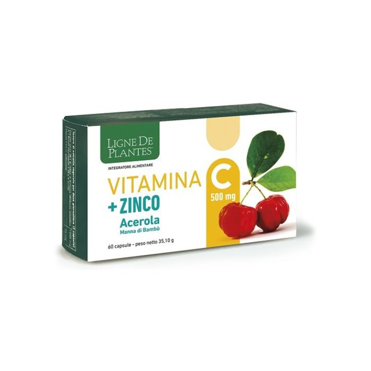 VITAMIN C 500MG+ZI/AC/BA60CPS