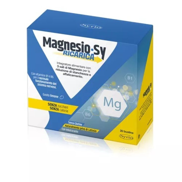 MAGNESIUM SY NACHFÜLLUNG 20BUST