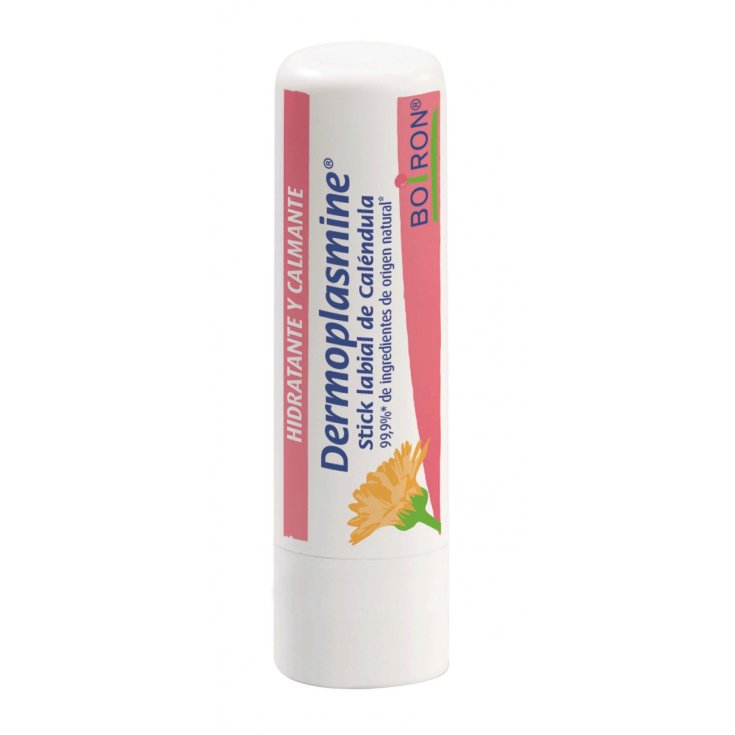 DERMOPLASMIN LIPPENSTIFT 2STK