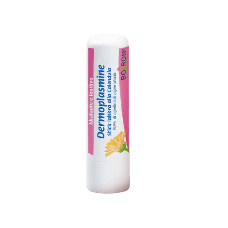DERMOPLASMIN LIPPENSTIFT 2STK