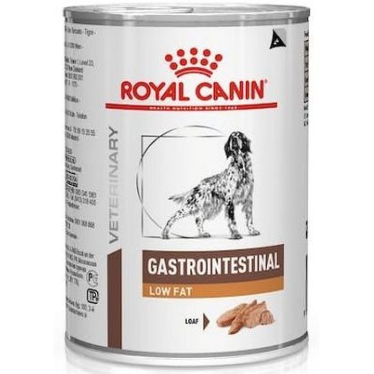 VHN DOG GASTRO FETTARM 420G