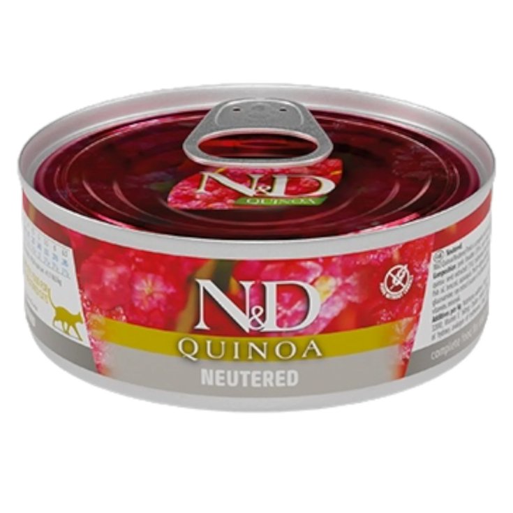 N&D CAT UM QUINOA SCHWEINEFLEISCH 80G