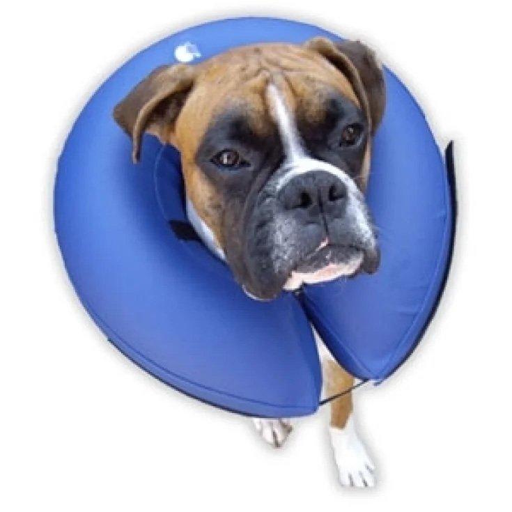 Procollar blaues aufblasbares Halsband – ø int