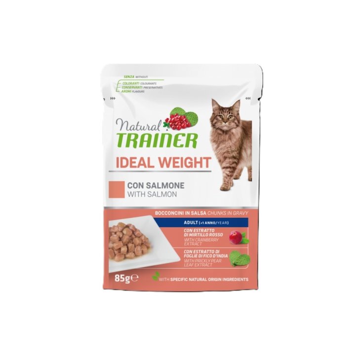 ZWISCHEN DER KATZENNUMMER BS IW SALM 85G