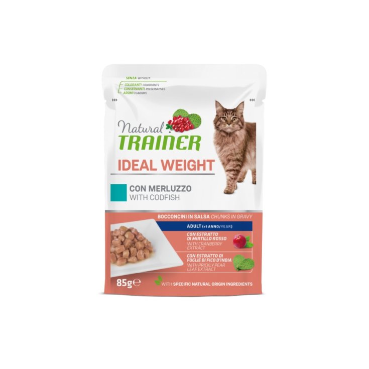 ZWISCHEN KATZE NUMMER BS IW MERL 85G