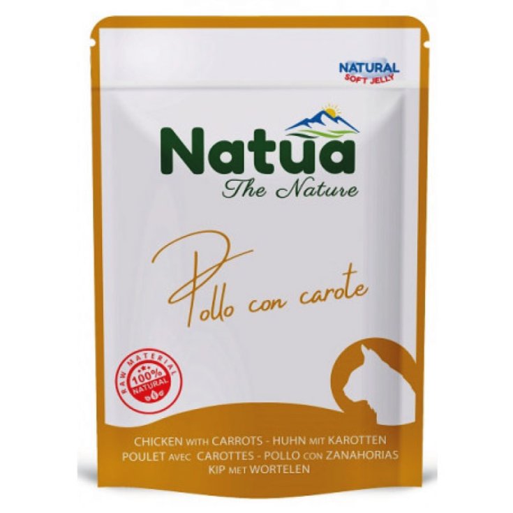 629 NATUA CAT BÜSTE POL CAR70G