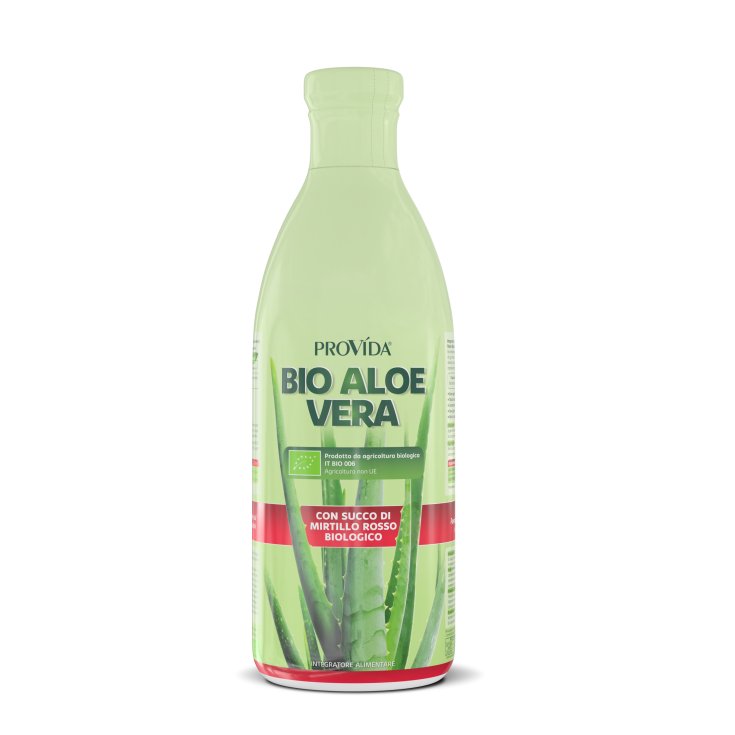 PROVIDA BIO ALOE HEIDELBEERE 1L